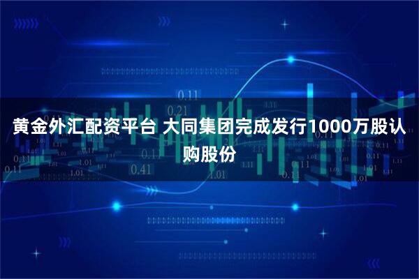 黄金外汇配资平台 大同集团完成发行1000万股认购股份